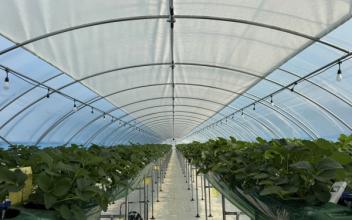 군산시, 2026년 스마트원예 분야 자체 사업 신청·접수