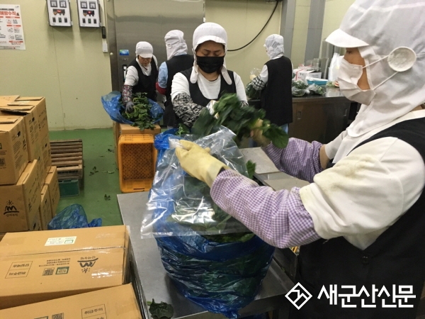 학생 가정에 친환경농산물 꾸러미 공급