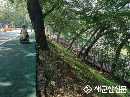 (생생 현장 돋보기) 은파호수공원 산책로, 직접 걸어 봤더니….