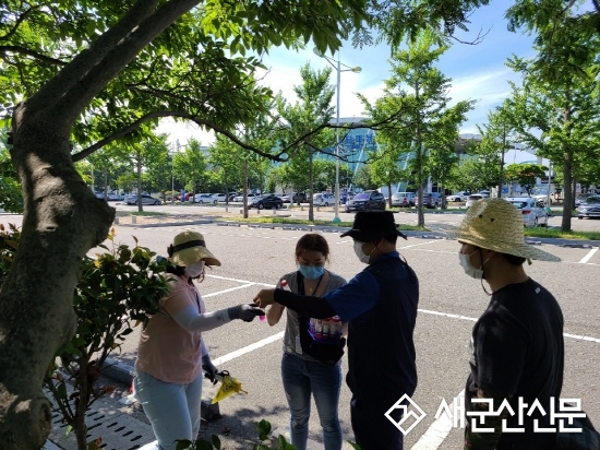군산항 붉은불개미 합동 예찰