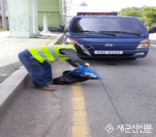 도로 위 동물사체 24시간 수거 호응