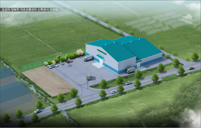 꼬꼬마 양배추 저온유통체계 구축사업 추진