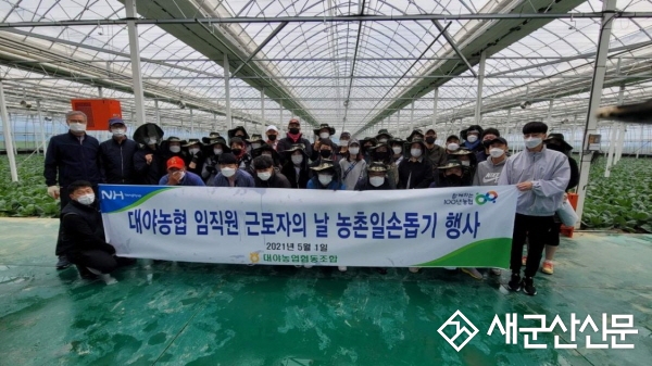 대야농협, 농번기 조합원 농촌 일손 돕기