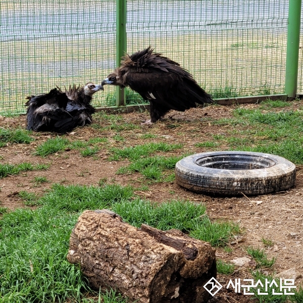 (군산 사람‧군산 이야기) “새들이 자연 속에서 살아갈 수 있도록”