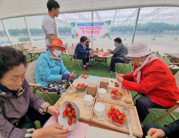 군산종합사회복지관, 어르신 딸기농장 체험