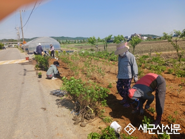 개정면 동정마을, 화사한 마을 조성에 앞장