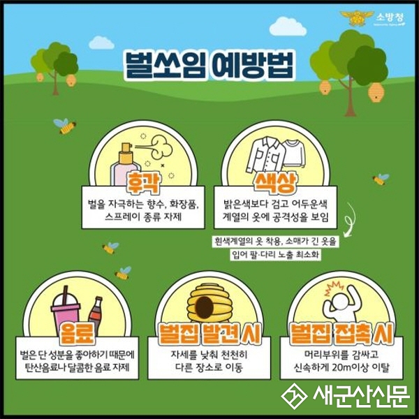 군산소방서, 벌 쏘임 사고 주의 당부