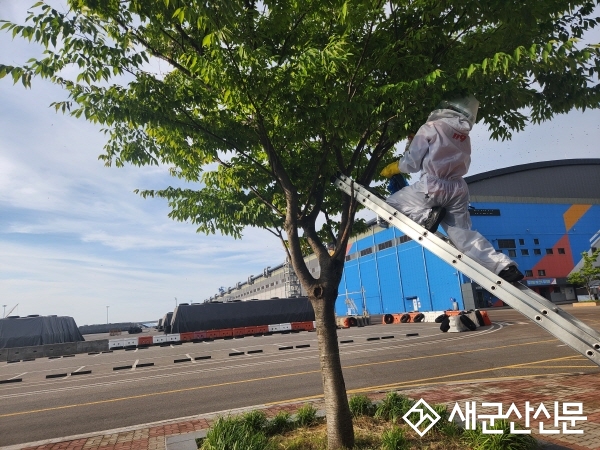 군산소방서, 벌 쏘임 주의 당부