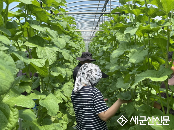농업인 온열질환 예방 캠페인 전개