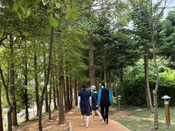 수송동, 703m 코스 맨발 황톳길 조성