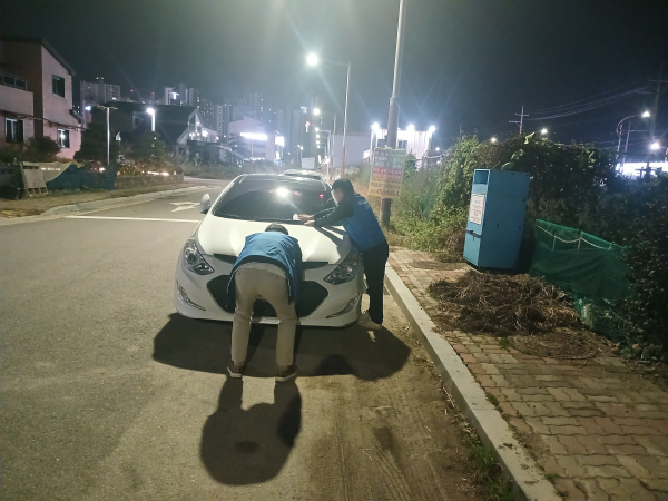 군산시, 일제정리기간 체납차량 번호판 야간영치 단속