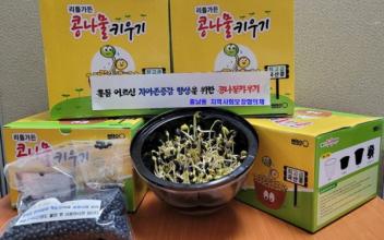 흥남동, 반려식물 콩나물 키우기 호응