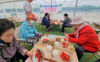 군산종합사회복지관, 어르신 딸기농장 체험