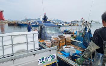 군산시, 어장 황폐화 주범 불가사리 퇴치 앞장