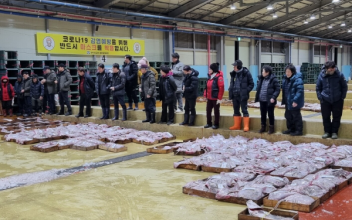 군산시수협, 을사년 위판 초매식 개최