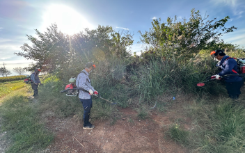 서수면, 무연고 묘지 벌초 작업으로 고향의 정 나눠