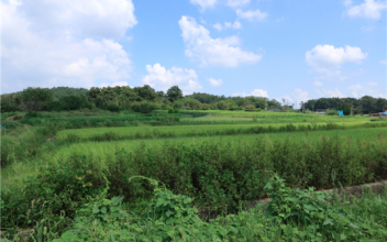 군산시 소재 패총유적 학술조사연구 착수