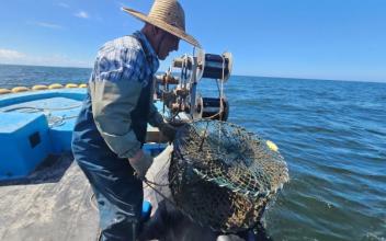 (톡톡 군산) 어민 안전 ‘구명조끼 의무화’, 어민들은 ‘몰랐다’