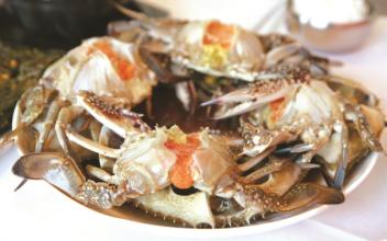 연휴에 찾기 좋은 미식 관광 도시, 군산으로 오세요