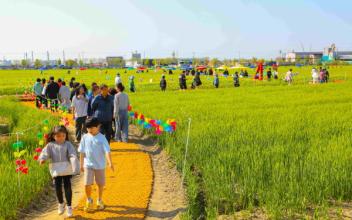 군산꽁당보리축제, 보리랑 봄이랑 21번째 이야기