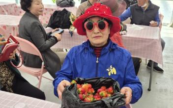 베스트베리 농장-“딸기 체험” 꽃길과 함께 가다